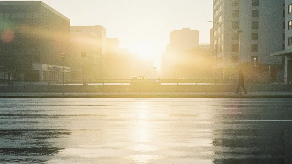 Brede foto van een weg met nat asfalt en sterke verblinding door laagstaande zon, waardoor contrast en zicht op de rijbaan afnemen.